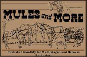 Mules and More Logo